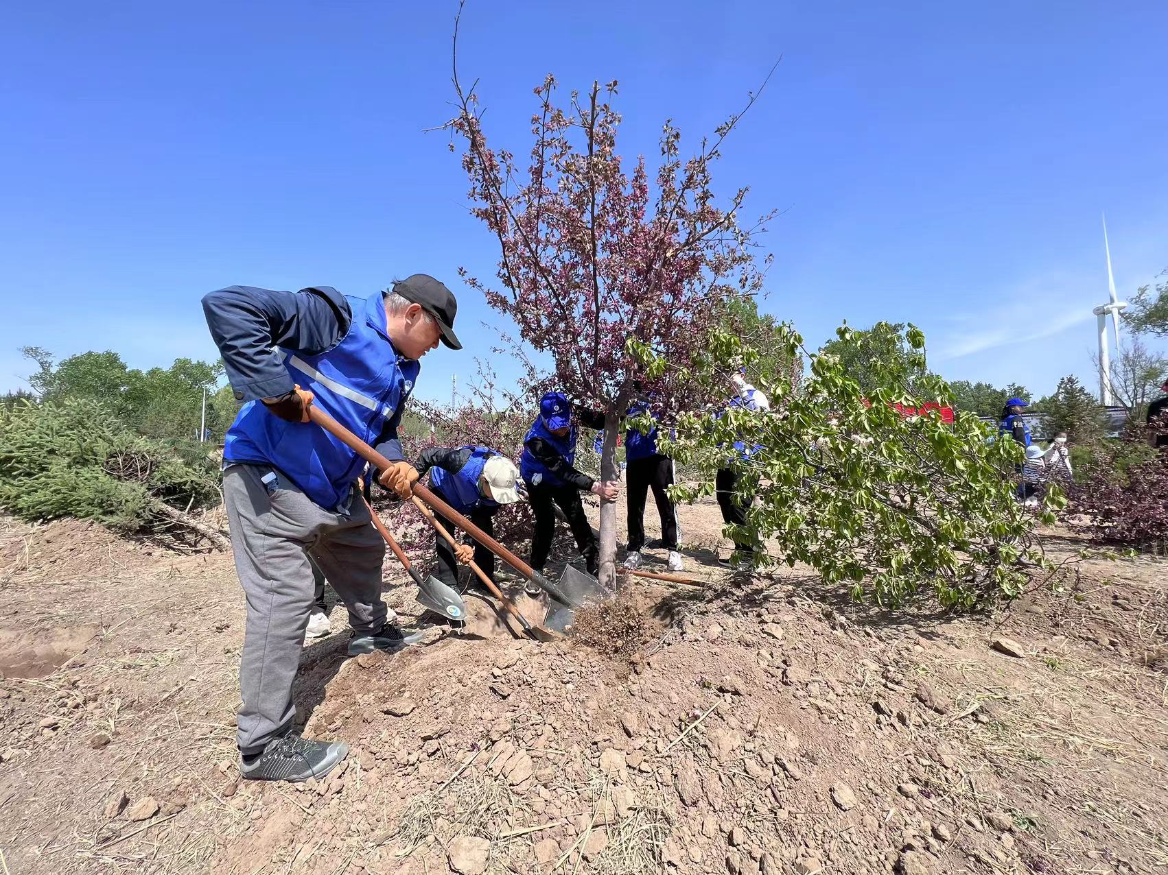 “；け本┠盖缀 共建首都水源地”使命植树活动在怀来官厅水库国度湿地公园进行
