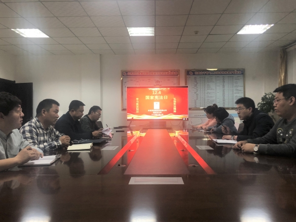 公司组织发展宪法宣传周系列活动