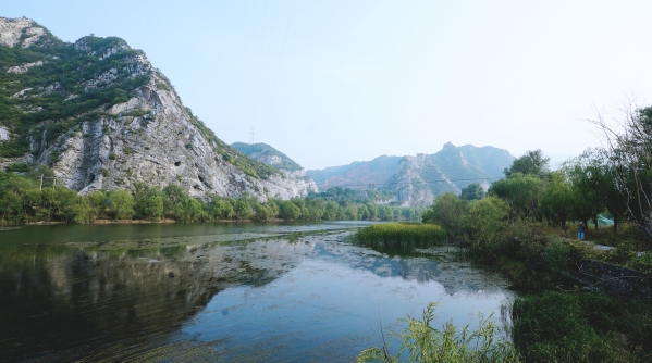 公司辅导调查韦德官方网站山峡段综合治理与生态建复工程