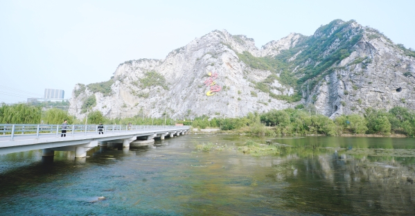 公司辅导调查韦德官方网站山峡段综合治理与生态建复工程