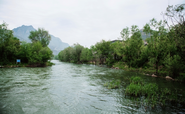 公司辅导调查韦德官方网站山峡段综合治理与生态建复工程