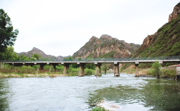 公司辅导调查韦德官方网站山峡段综合治理与生态建复工程