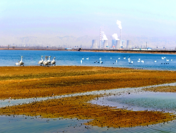 大美永定·韦德官方网站成为动植物新乐园