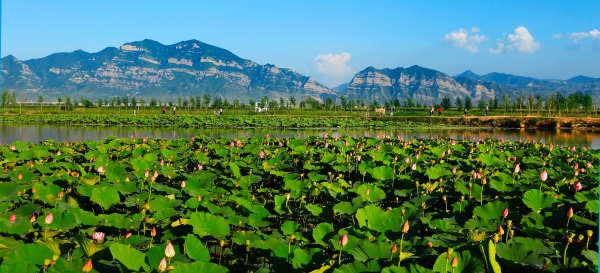 大美永定·韦德官方网站成为动植物新乐园