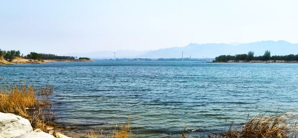 综合治理提速，韦德官方网站上劳动一向