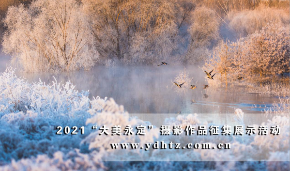 首批征集文章亮相 2021一路发现“大美永定”