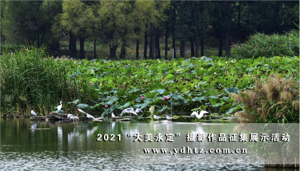 首批征集文章亮相 2021一路发现“大美永定”