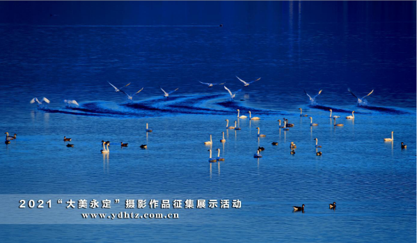 首批征集文章亮相 2021一路发现“大美永定”