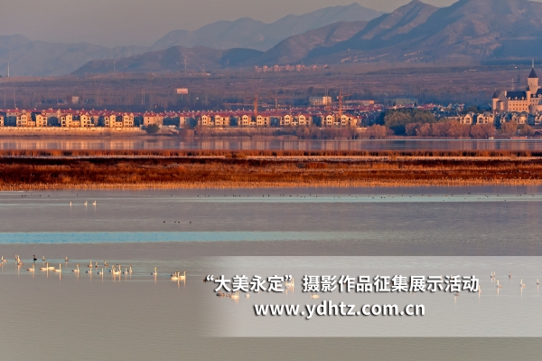 【大美永定】生态建复再现鸟类乐园