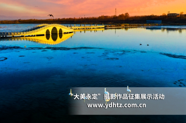 【大美永定】生态建复再现鸟类乐园