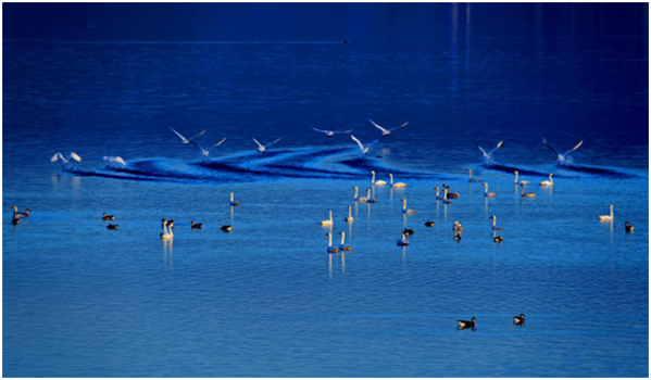 ������ˮ���� Τ�¹ٷ���վȫ��������ͨˮ���롰�ٷ�ʱ�̡�