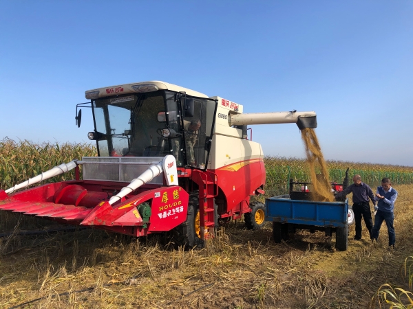 Τ�¹ٷ���վ�ۺ�����������ʮһ�����ڽ���æ