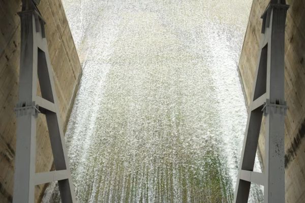 发力“全线通水百日” 韦德官方网站春季生态补水全面启动