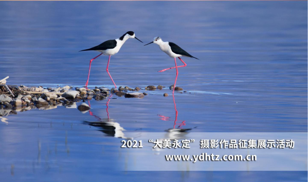 关爱河湖 共话幸福 第二届“大美永定”摄影文章征集活动了局揭晓