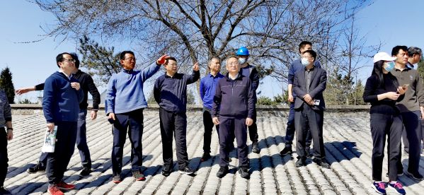 北京市水务局党组书记、局长潘安君调研韦德官方网站平原南段生态补水筹备工作