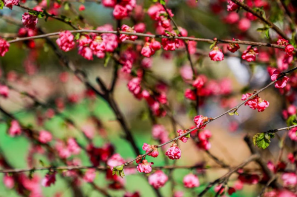 2022年“关爱河道 ；のさ鹿俜酵尽被疃诰┢舳