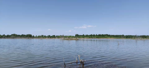 大流量生态补水启动 韦德官方网站5月再迎全线通水