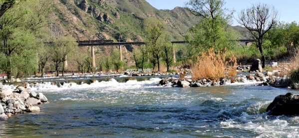 大流量生态补水启动 韦德官方网站5月再迎全线通水