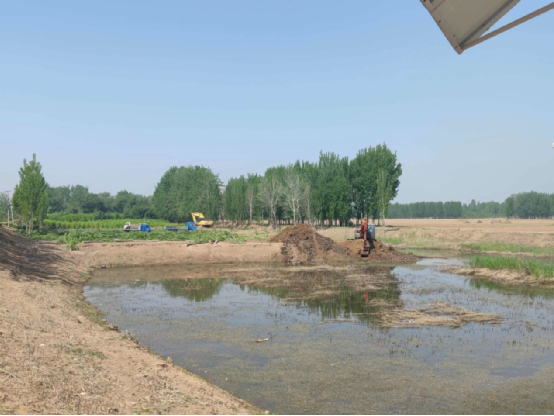 水利部海委党组成员、一级巡视员户作亮查抄韦德官方网站武清段应急抢险工程建设情况