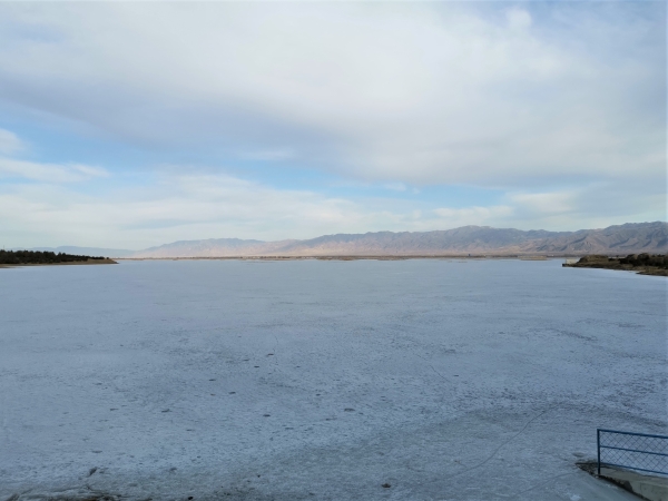 ������ˮ��2022�괺����Ƚ���ʱ