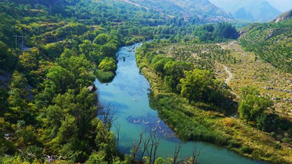 �׽�Τ�¹ٷ���վ��̳�����ٿ� ��ͬ̽������������ģʽ