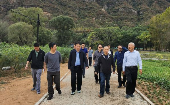 ��˾��Ҫ������Τ�¹ٷ���վɽϿ�β鳭����