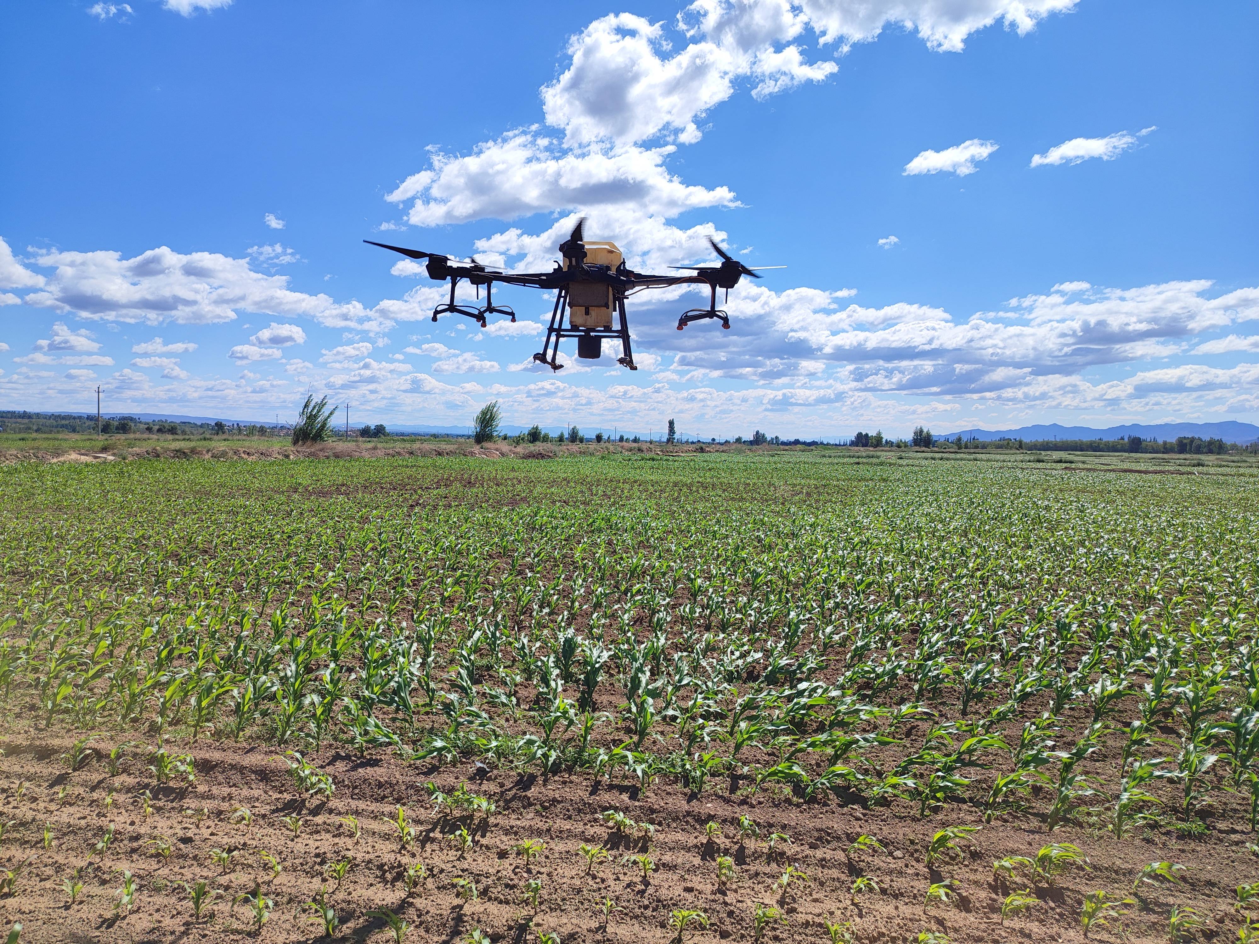 怀安县高效节水示范种植项目发展无人机除草作业