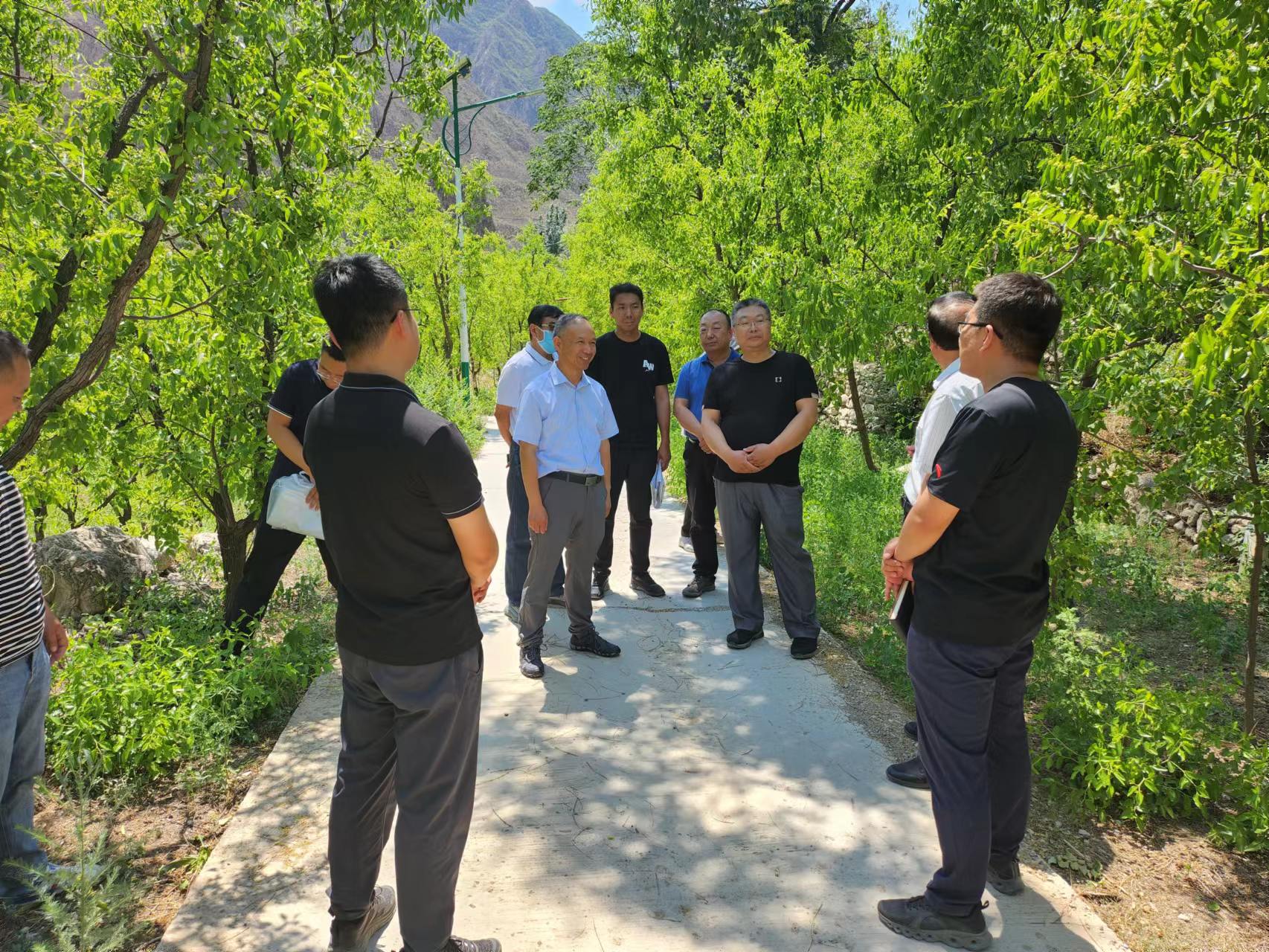 公司重要辅导一行赴韦德官方网站山峡段调研