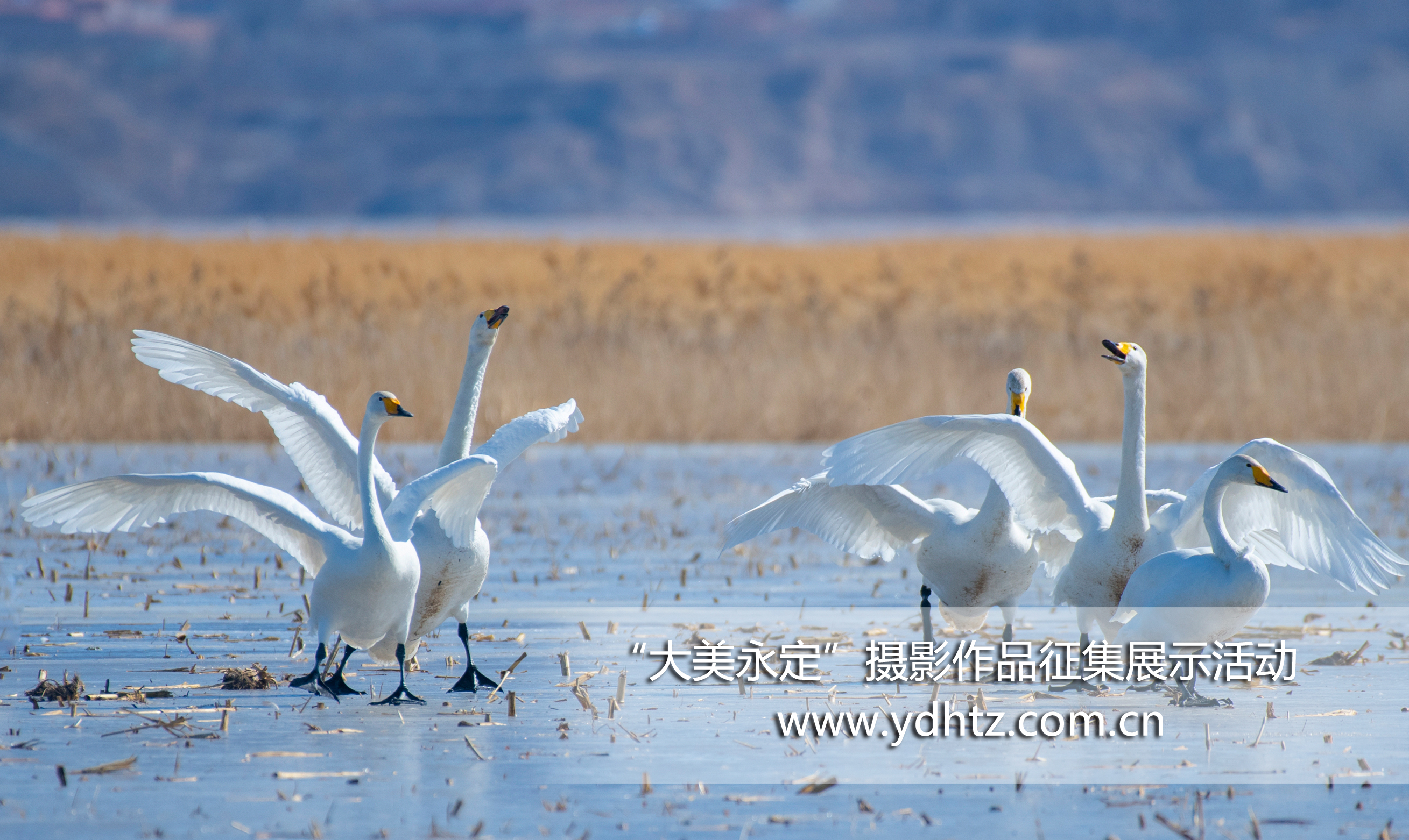 第三届“大美永定”摄影文章征集实现初评