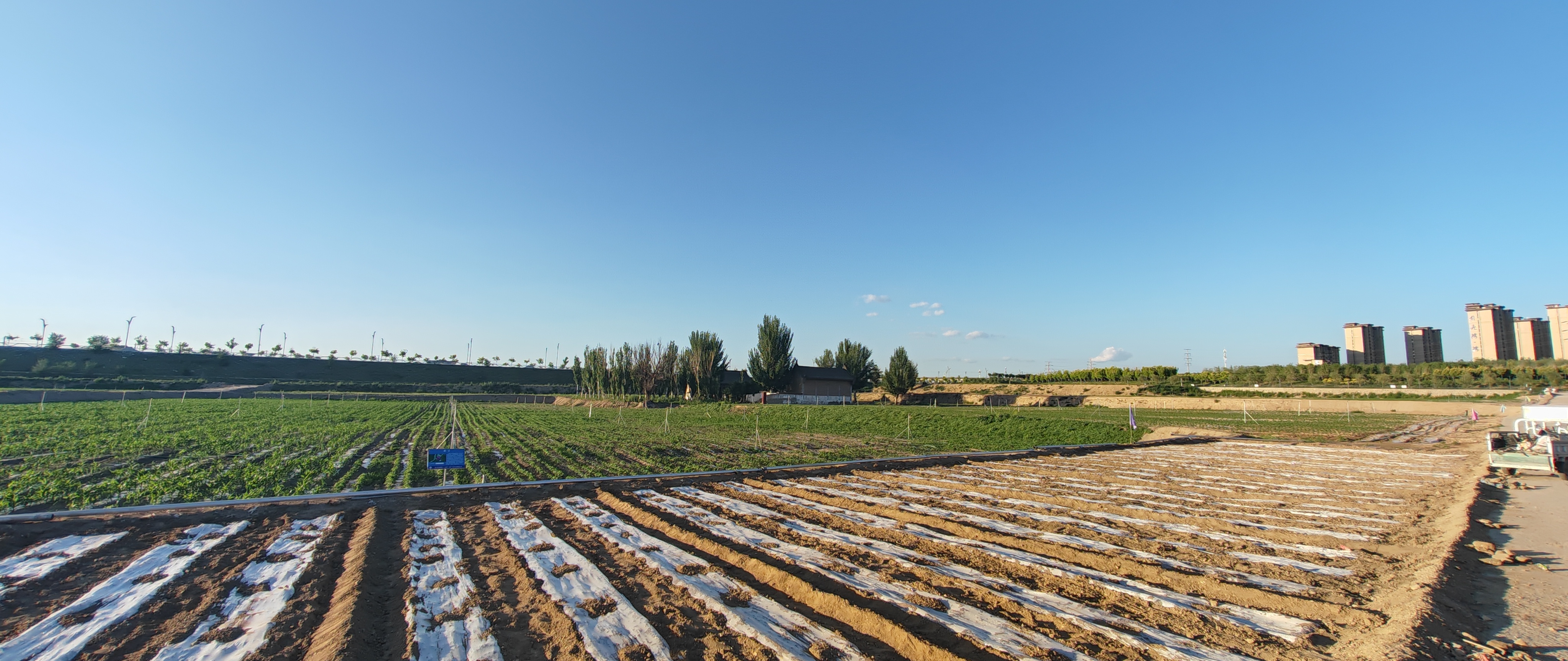 ��ͷ��Ӫ��˾���ͷ��ƽ�������񵱾�ǩ�����Ӿ���ũҵ��Ŀ������̸