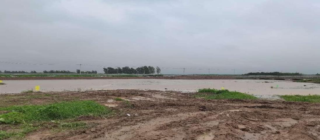 ��Ѵһ�� | ���ֹ�˾��Χ��1900���� ��������缢�ƿ�