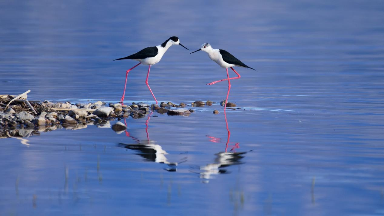 “大美永定”摄影文章亮相中国水生态文化摄影文章展