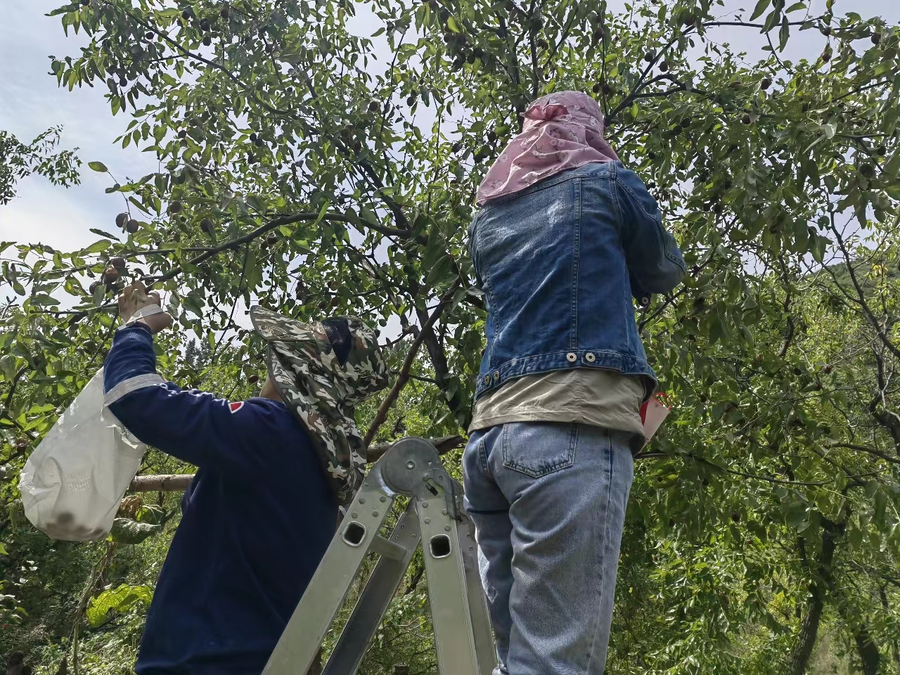 ��Τ�¹ٷ���վ����˾�������˹������������ҵ���������·��