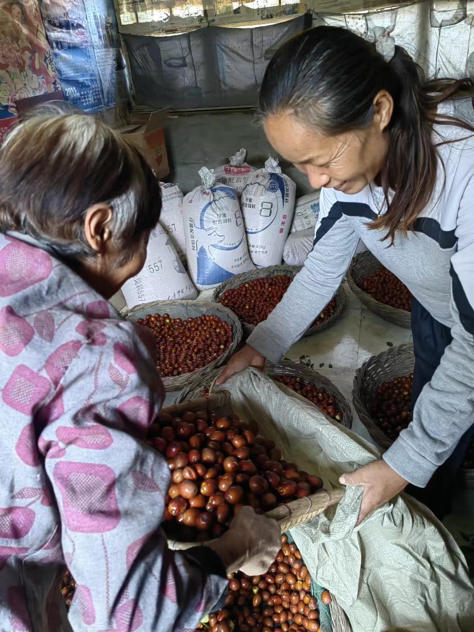 ��Τ�¹ٷ���վ����˾�������˹������������ҵ���������·��