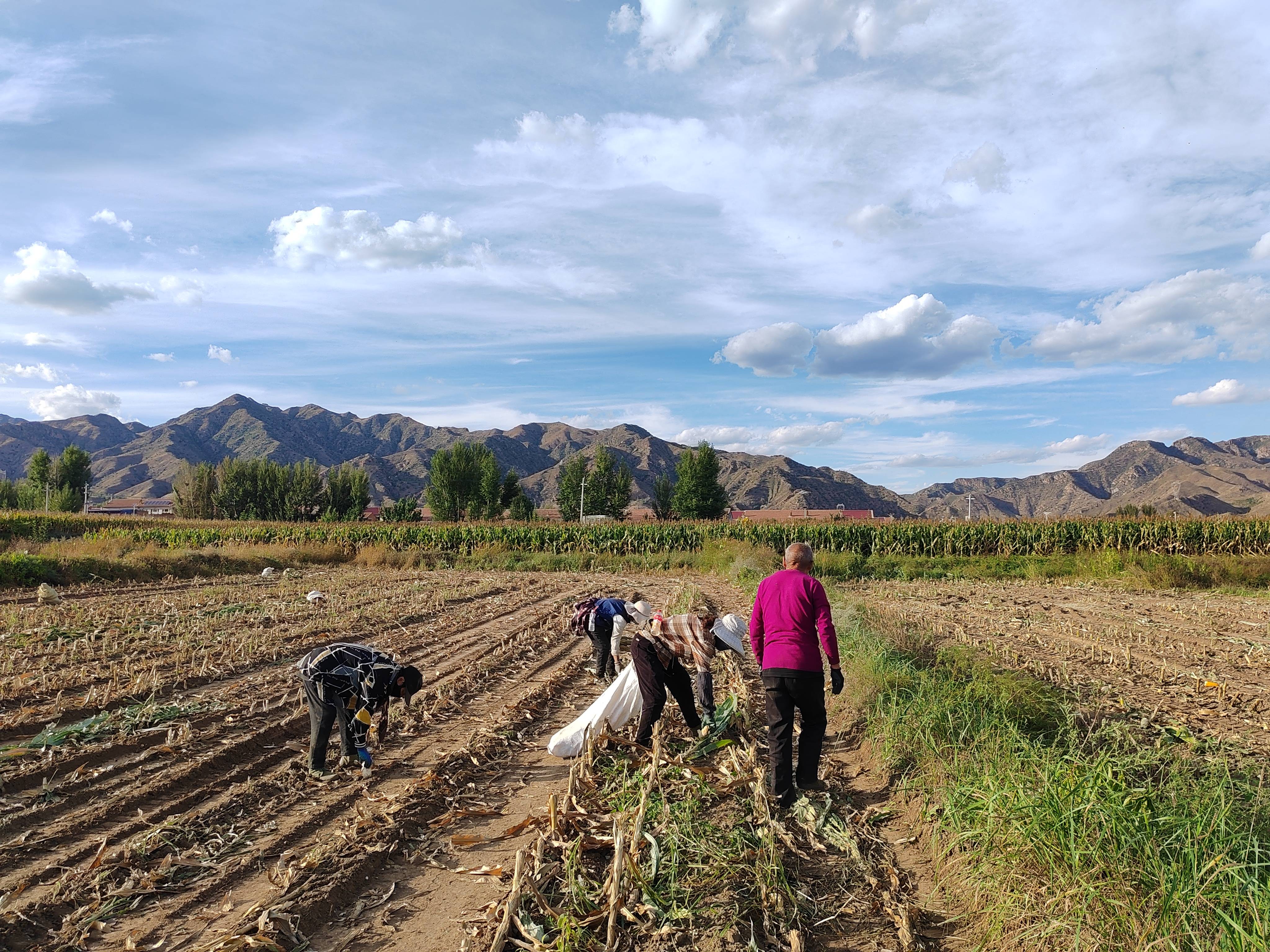 ���е����ϵ�֧����չ���������ա����⵳�ջ