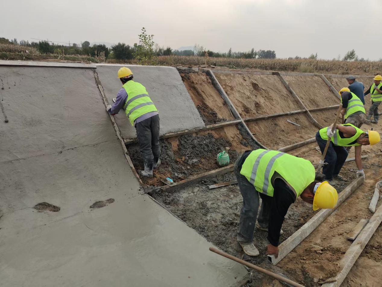 �Ͷ��ߵ���Ӱ�����ɼ�����ľ�����