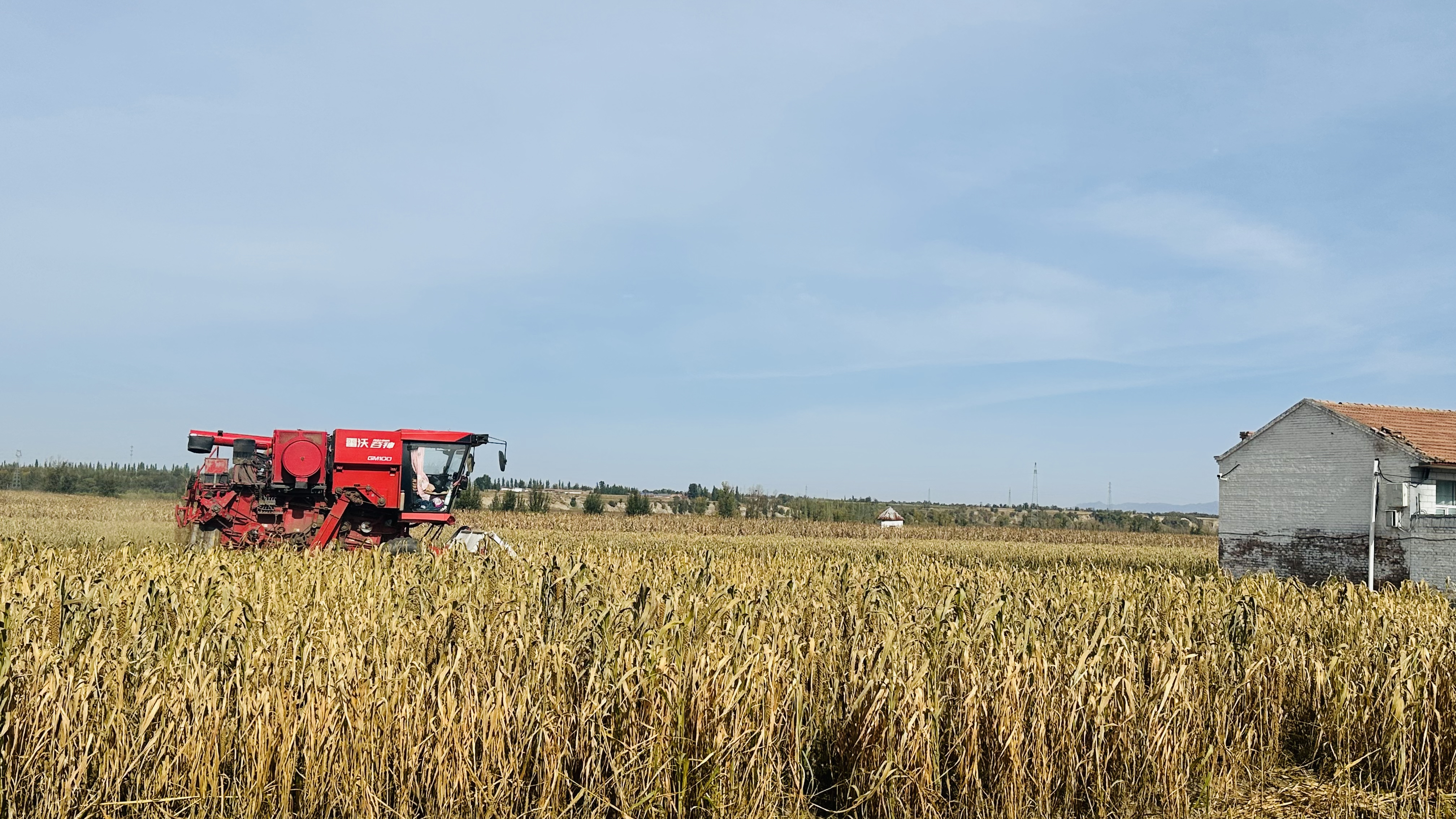 ���������á��ᡱ�� ����Ʈ��ӭ���