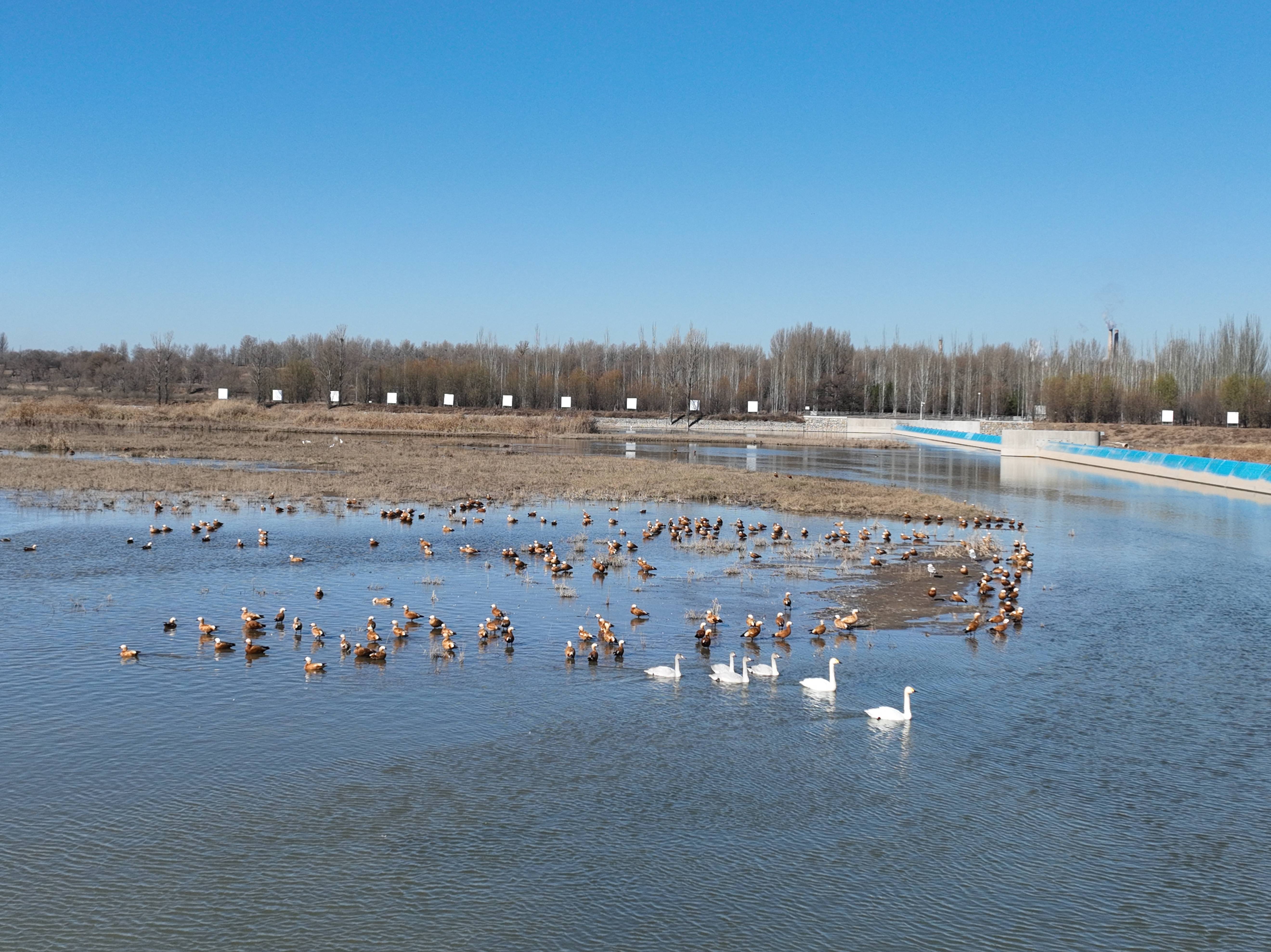 ��ͷɣ�ɺӷ������ն�ͳ���Ѽ