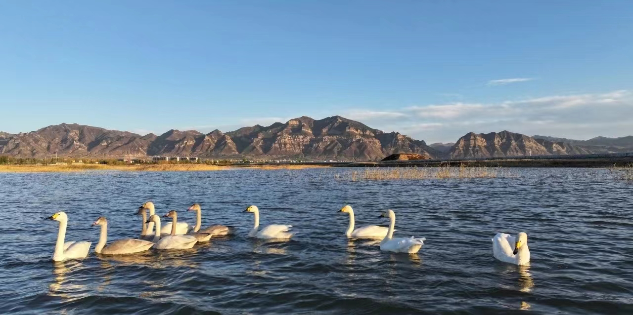 ��Դ��̬��˾ | ���ն��趯��Ϫʪ��