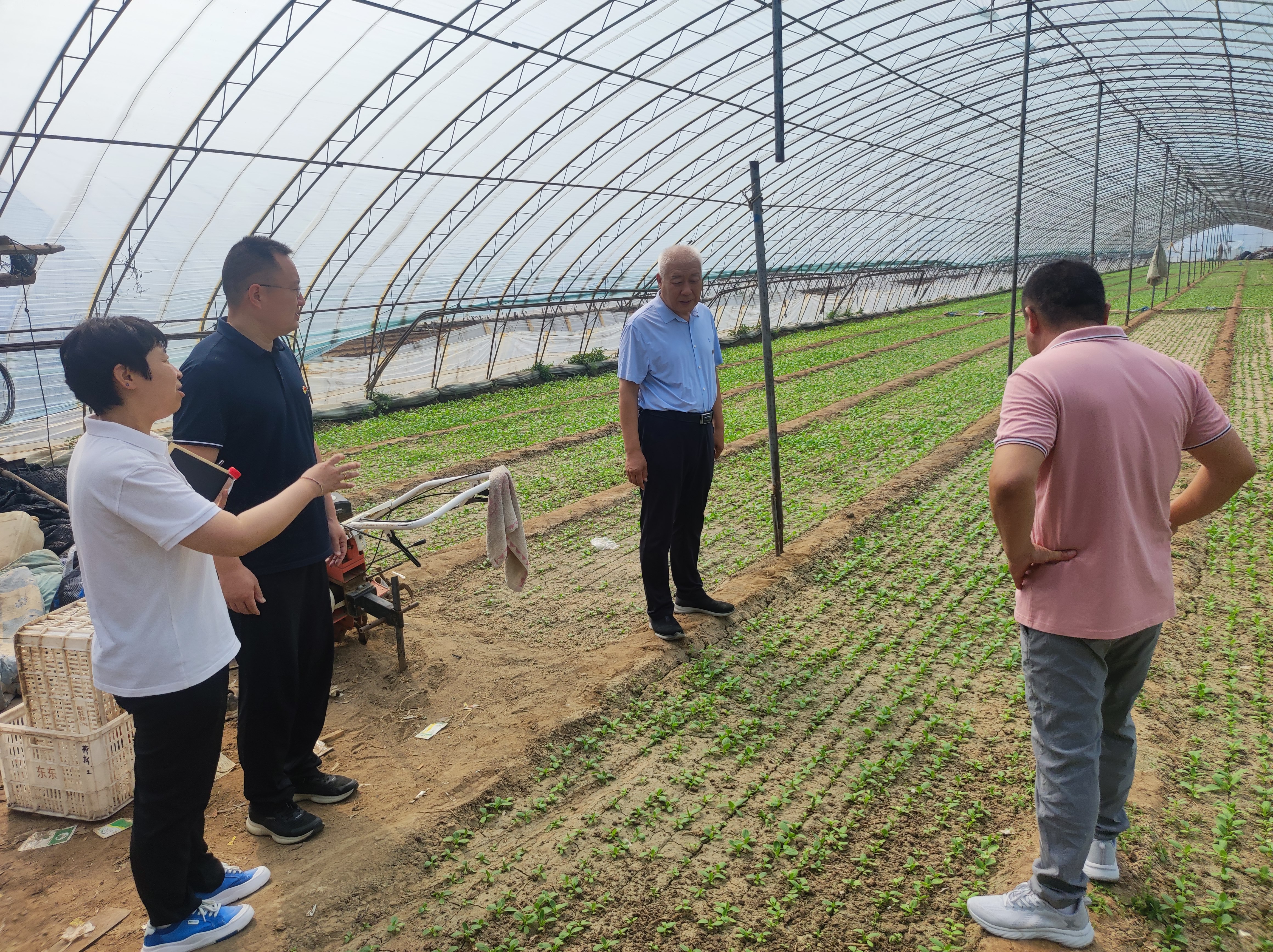 驻村驻心惠民生 真情助扶促振兴