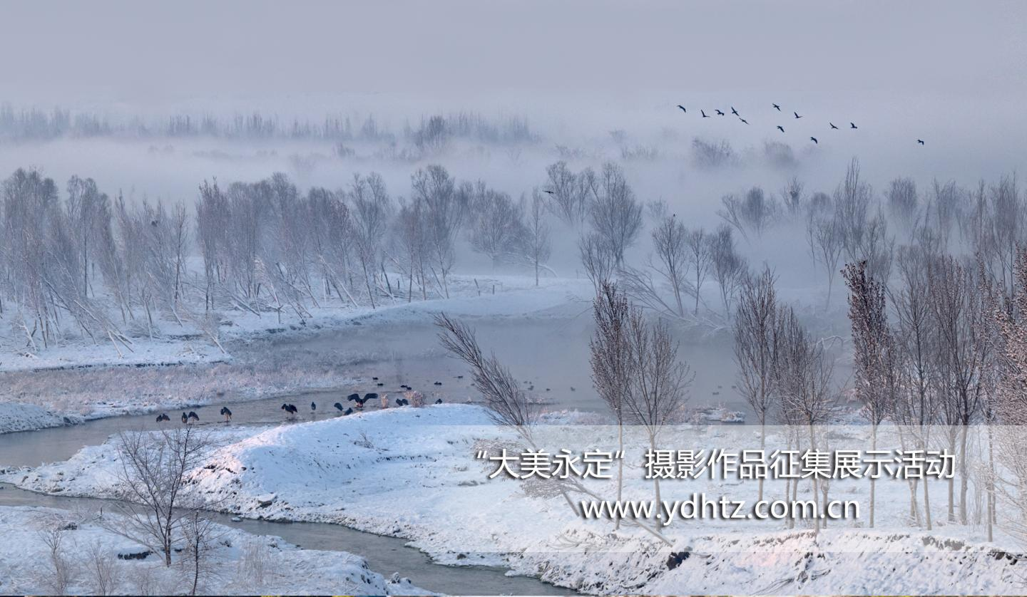 �����조������������Ӱ����������˾ֽ���