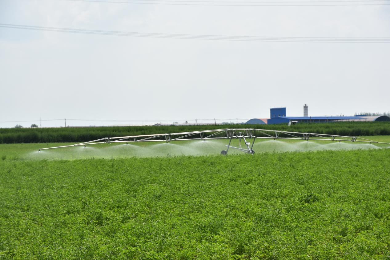 世界水日 中国水周 | 韦德官方网站“善水善治”案例展播（五）