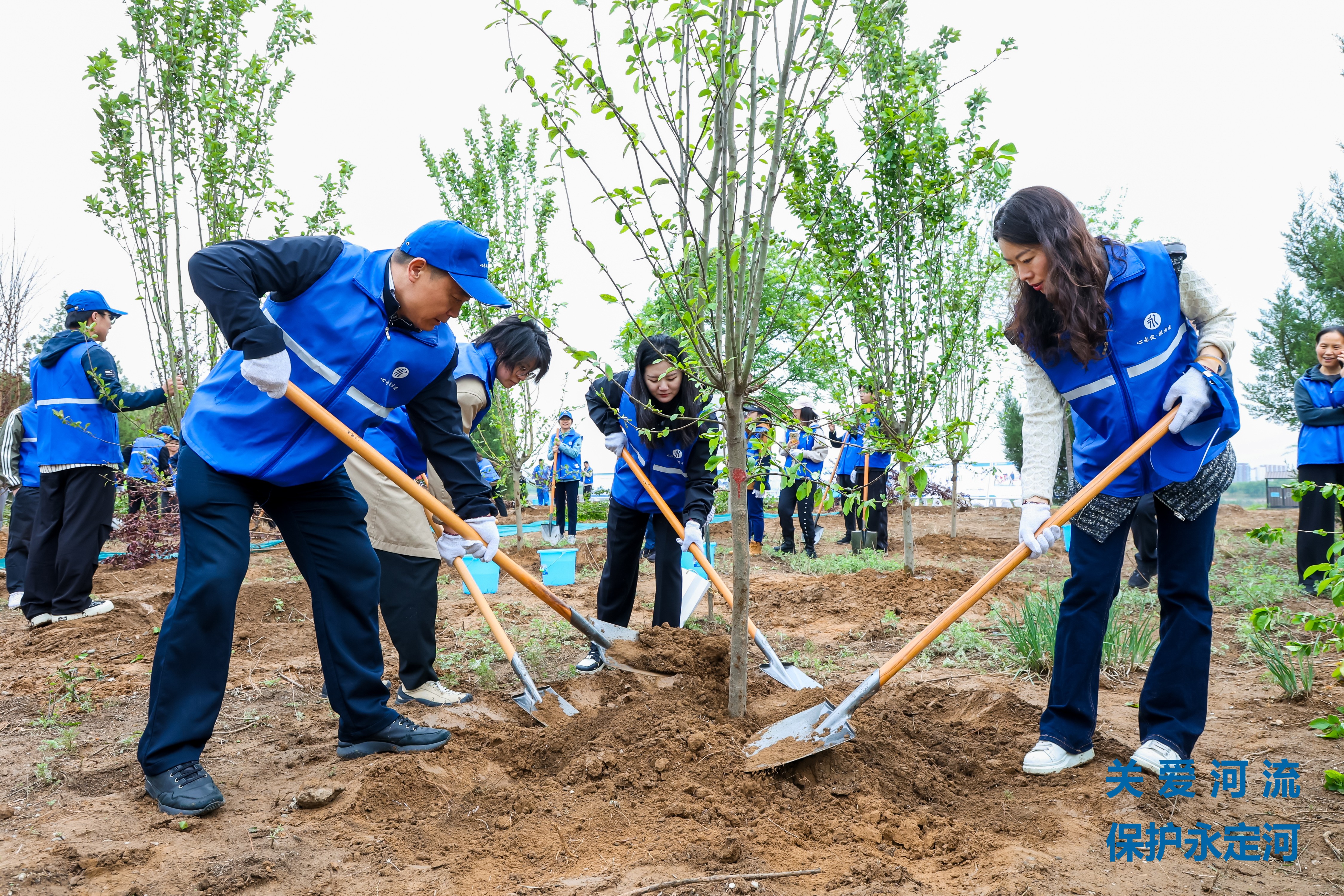 “植”此青绿 增厚流域“绿色家底”—2024年“关爱河道 ；のさ鹿俜酵尽被疃诰┙