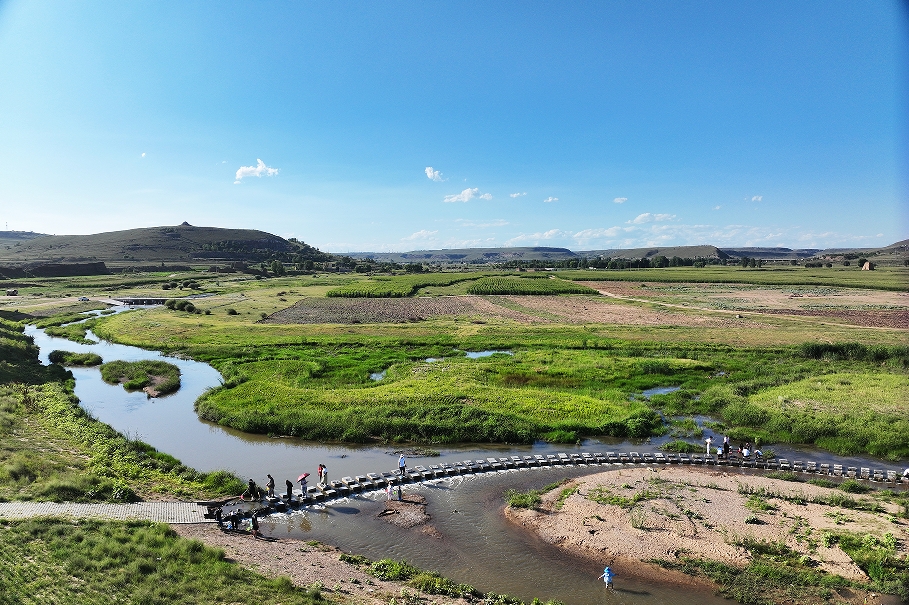 ��ͷ�������ۺ���������̬�������̣���ʤ����̬�����������̣�һ��ֲ�����ͨ������