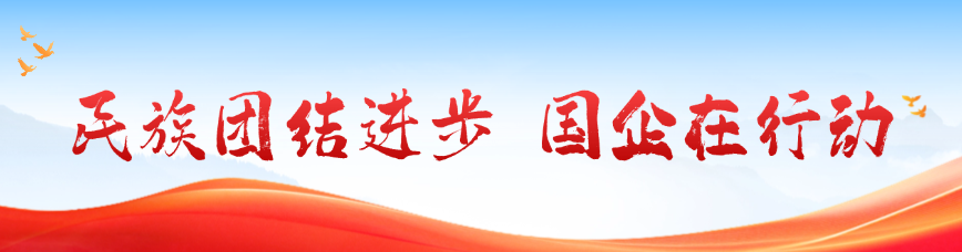 2026年民族联结进取宣传周