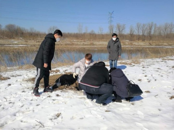 Τ�¹ٷ���վ����Ͷ�ʹ�˾����һ���¶��� �۶Ό�߳�����˫�ɹ���