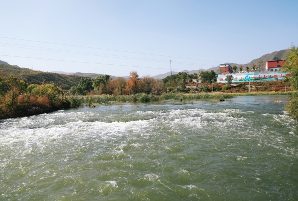 党建互联 支部共建  北京市韦德官方网站综合治理与生态建复辅导幼组办公室与公司结合发展主题党日活动