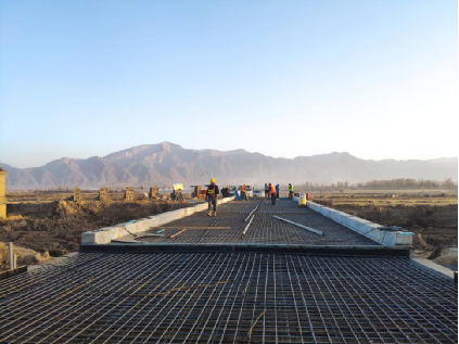 公司召开全面深入鼎新工作组暨国企鼎新三年行动沉点工作自查工作专题会