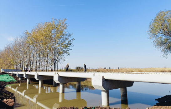 ˷�ݵ����ϵ�֧����֯��չ�����Ķ�ʮ������ �Һͼ���һ·ѧ���