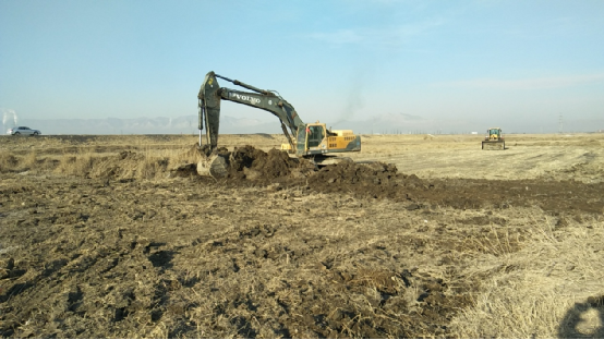 �����鶷���� �����һ���족���顰�ܹ�ս��